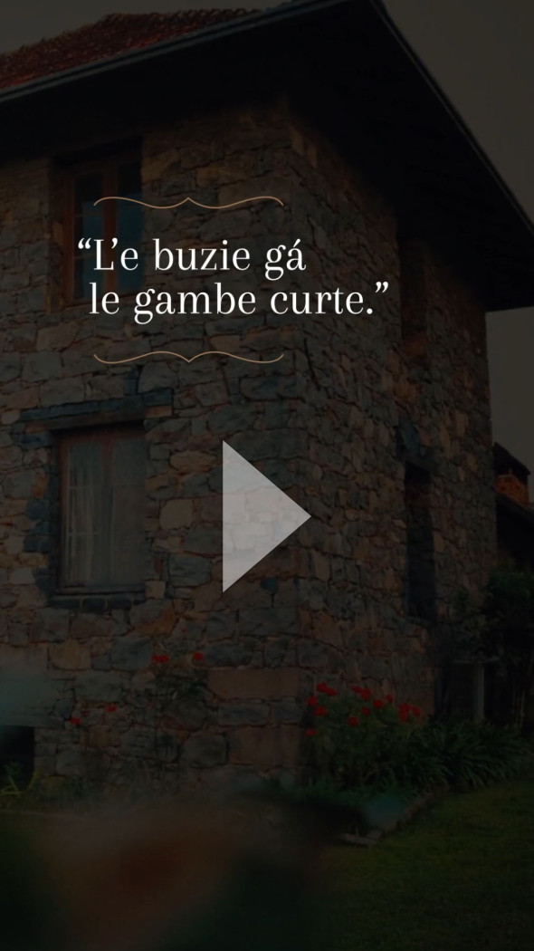 le_buzie